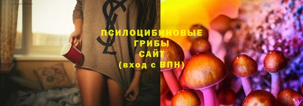 крисы Белокуриха