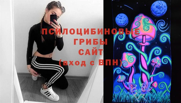 крисы Белокуриха