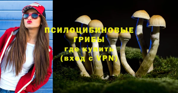 крисы Белокуриха