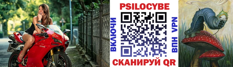 Галлюциногенные грибы Psilocybine cubensis  Славгород 