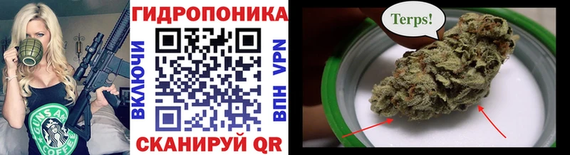 МАРИХУАНА конопля  Славгород 